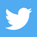twitter social icon